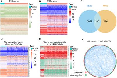 Molecular Characterization, Tumor Microenvironment Association, and Drug Susceptibility of DNA Methylation-Driven Genes in Renal Cell Carcinoma